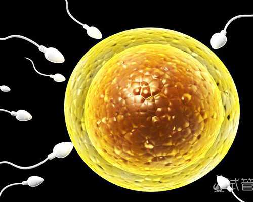 2026
代怀价格表_2026
急找代妈,警惕美国试管婴儿杀手!焦虑的危害有多大?_基础卵