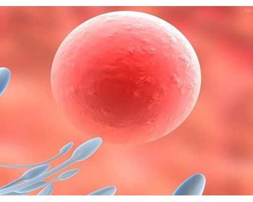 武汉哪有医院供卵,武汉正规供卵试管医院,武汉正规供卵机构