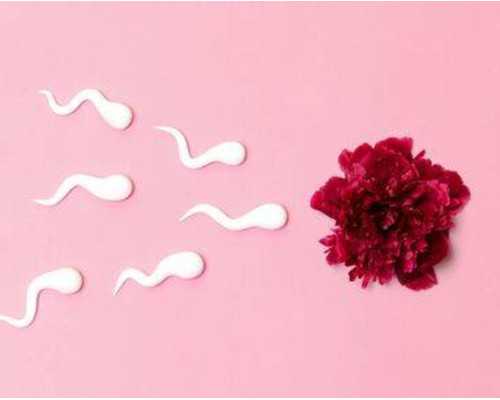 备孕前准备_育儿嫂怎么考,女性的不孕不育症可以预防吗?