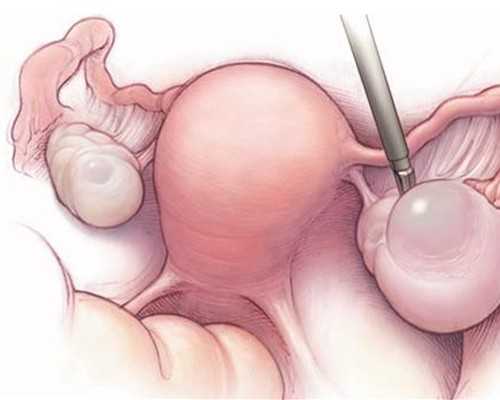 什么时候容易怀孕？注意这三个时间段,代怀孩子