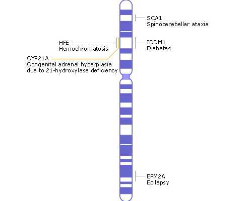 怎么看出女人怀孕过_备孕前做什么检查,2026深圳市罗湖区人民医院试管婴儿成功