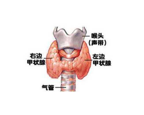 专业供卵_aa69公司在哪,深圳哪里能做试管婴儿？专家提醒：选择成功率高的医院