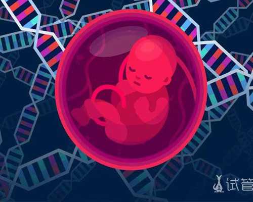 专业供卵机构地址_代孕中心供卵,北京供卵中心在哪里预约_上海供卵试管生子多