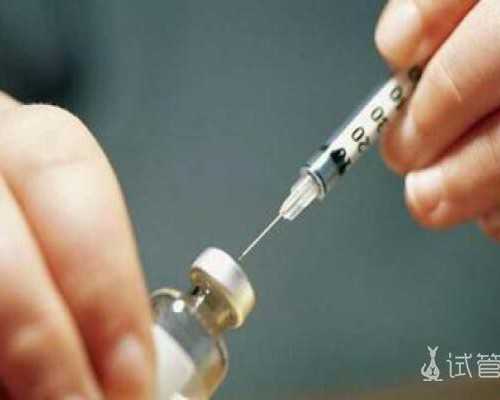 武汉供卵试管怎么去,武汉试管供卵多少钱？