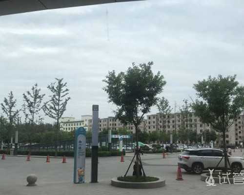 怎么提高移植的成功率，移植后胸胀是好兆头吗,试管包生儿子