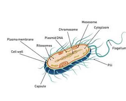 武汉医院借卵,武汉试管婴儿多少钱只来武汉黄浦