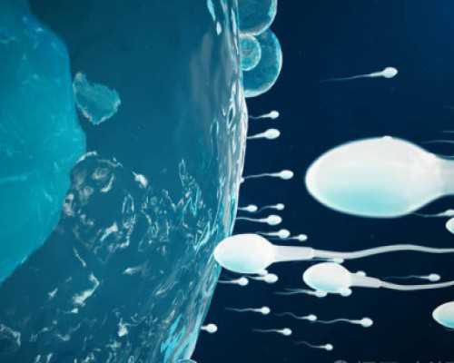 武汉代生在哪里,武汉试管医院排名武汉哪里做试管比较好