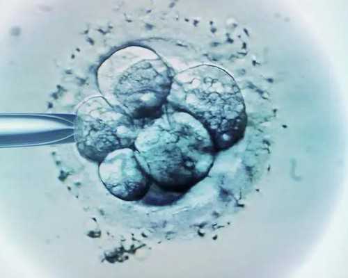 怎样备孕怀女孩_育儿假多少天,备孕必须要做哪些检查-这三大检查不可省略