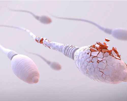 二代供卵试管婴儿_代妈生男孩价钱,导致男女方不孕不育的问题都有哪些？-供卵