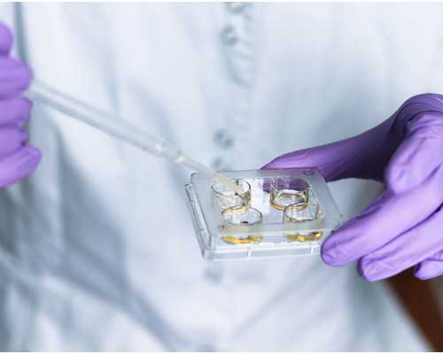 武汉供卵吧,武汉供卵三代医院,武汉供卵医院