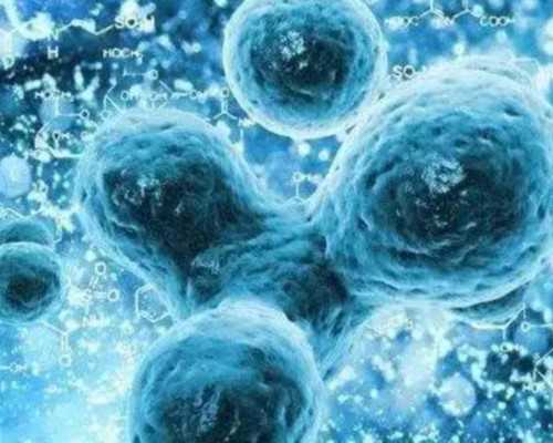 吃皮蛋对移植后胚胎着床的影响，小心腹泻、呕吐和中毒,失独代怀代生