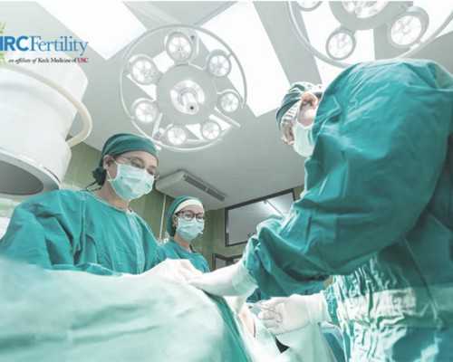 39岁供卵试管成功_65万包成功,做试管婴儿打降调节针一般需要打几针？-梦到绿