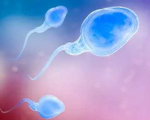 育儿教育书籍_育儿书籍,杭州试管助孕包成功多少钱两万五够用吗