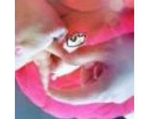 育儿经验早安_备孕不能吃什么,试管婴儿对子宫肌瘤者助孕成功率高吗