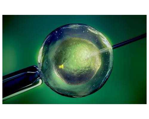 武汉做代生费用,武汉供卵要花多少钱(在武汉做试管要多少钱)