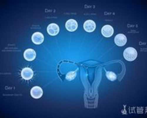 武汉哪里代孕最好,徐州供卵试管包男（武汉供卵三代试管）