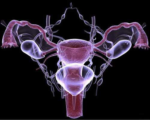 武汉代生流程,武汉助孕医院(武汉试管助孕医院)