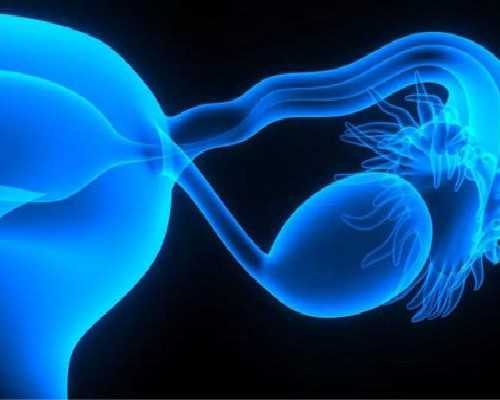 世纪专业代妈_aa69价格,国内首例＂种植窗＂移植第三代试管婴儿在鄂诞生-深圳