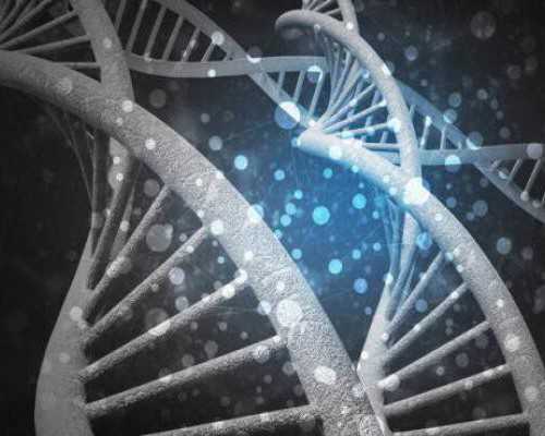 武汉代生孩子的案例,武汉正规供卵试管医院,武汉正规供卵机构