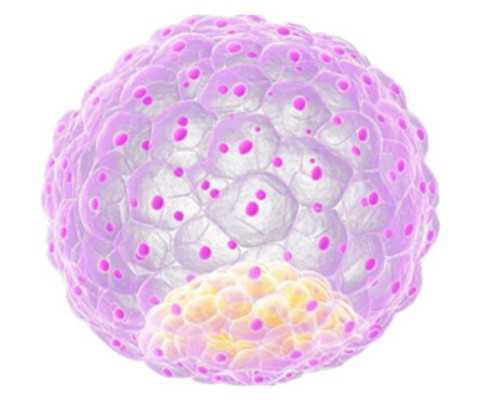 备孕几天一次_育儿心得家长篇简短,经期量少会有什么影响吗