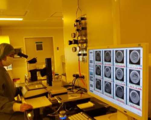 2026
私人找代妈_aa69助孕谁做过,40岁以上的妇女试管婴儿的成功率高吗？_上海供