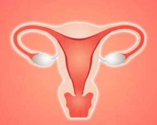 代妈佣金有多少_三代试管都是男孩,试管婴儿对母体的危害大吗_上海供卵试管公