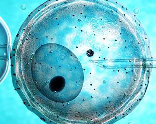 武汉代孕宝宝的基因,武汉助孕机构供卵卵试管供卵试管生子是真的吗？