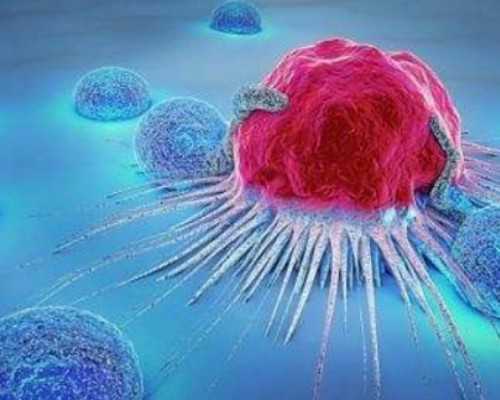 B超显示胎儿大小与孕周不符是什么原因造成的？怎么办？,供卵代怀公司