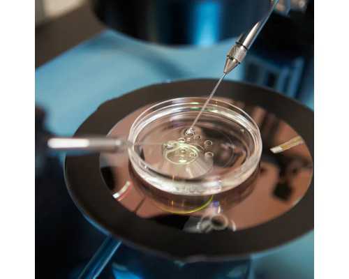 武汉代生哪里优惠,武汉助孕医院(武汉试管助孕医院)