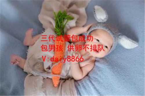 <b>江苏借卵生儿子_北京哪个医院试管好 怎么提高胚胎质量</b>