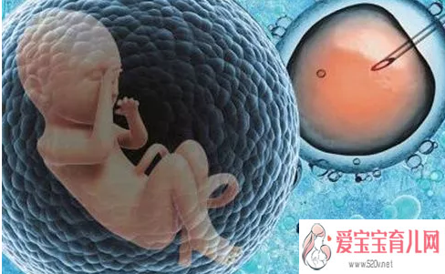 上海借卵子代生_胚胎冷冻对宝宝有影响试管婴儿冷冻胚胎有什么好处