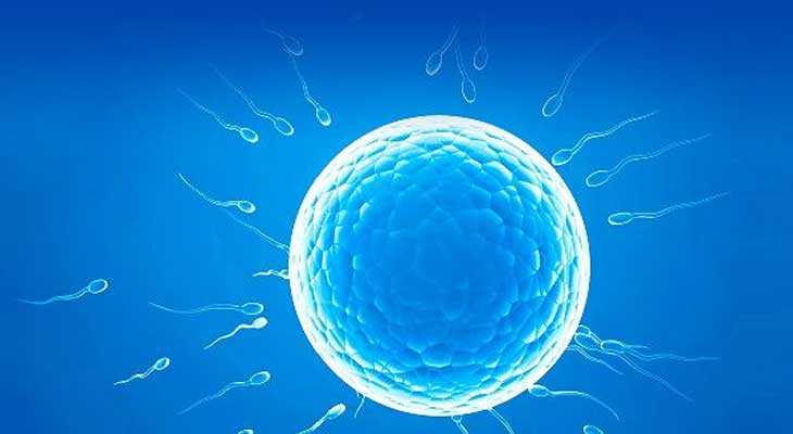毕节地南方生殖助孕_泰国试管如何提取囊胚细胞进行基因检测，安全吗？