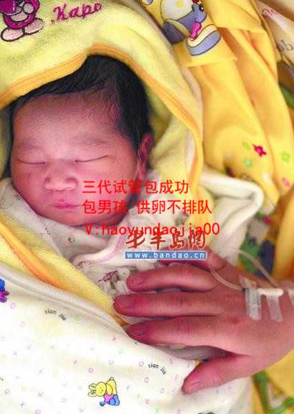 借精子怀孕叫什么_海外试管到底是啥_郑州助家无忧，广州高成功率代孕机构