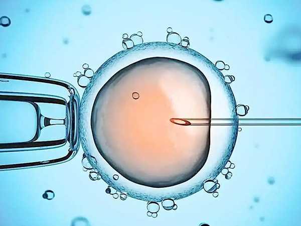 武汉供卵代孕风险 武汉助孕机构推荐 ‘胎囊1.4×0.9×1.2厘米是男孩还是女孩’