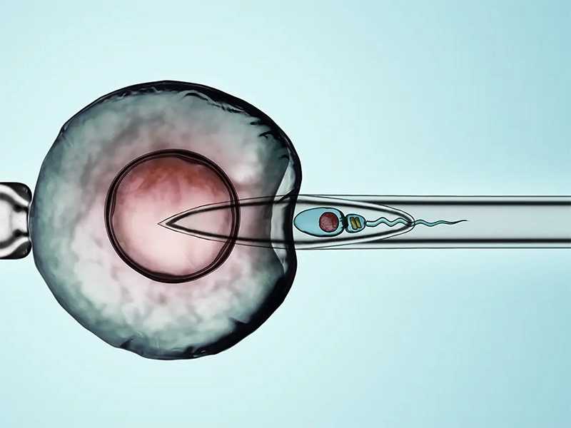 <b>武汉供卵试管婴儿中心 武汉试管婴儿移植前对内膜有什么要求 ‘男胎特征’</b>