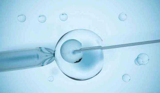 武汉有正规的代孕公司吗 武汉哪个公立三甲医院做试管婴儿的成功率高? ‘四个