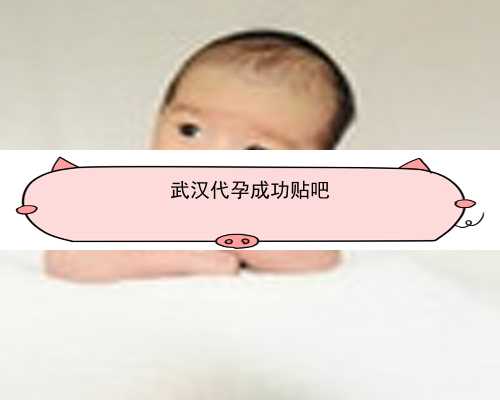 <b>武汉代怀包成功机构_湖北代孕概述-武汉代孕生殖中心包生女孩</b>