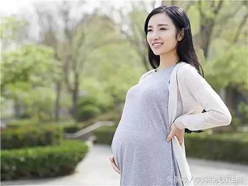 成都供卵电话_北京医院做试管婴儿做的怎么样呢？