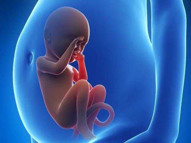 <b>武汉一次代生费 2022在武汉大学人民医院做试管婴儿移植两个胚胎成功率高吗？</b>