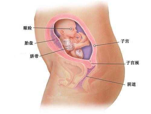 南昌借卵机构_柳州供卵试管婴儿多少钱，2023国内做供卵试管费用清单