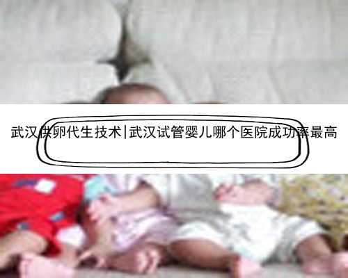 武汉供卵代生技术|武汉试管婴儿哪个医院成功率最高
